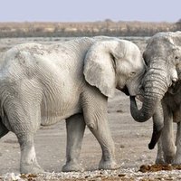 文化 スペインの知られざる対立 吉村先外 Note