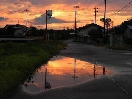 死にたい夏 花子 Note