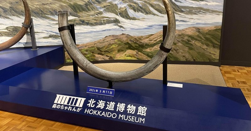 北海道博物館に行った