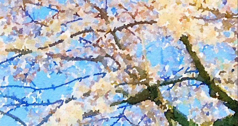 青空&桜は最強コンビ