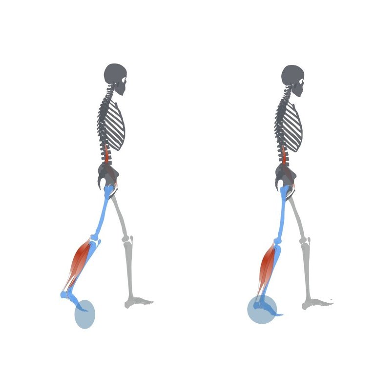 足のバネを鍛えよう 平 純一朗 理学療法士 アスレティックトレーナーnote Note