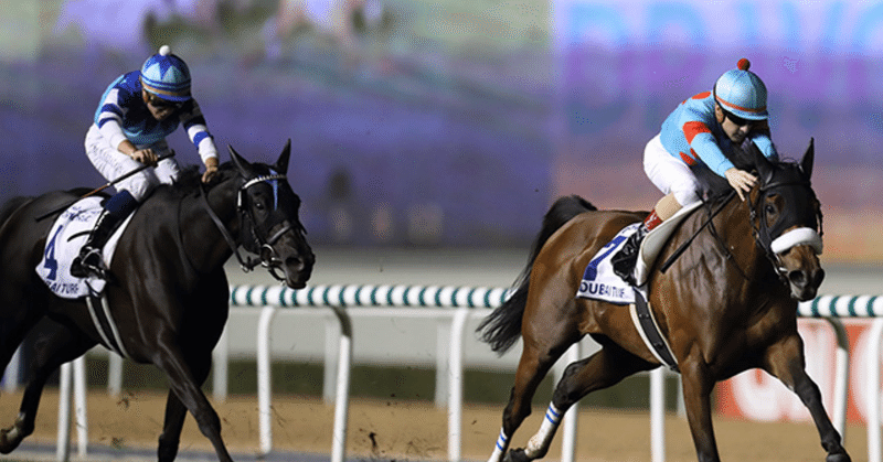 サッカーを応援する鬼限が競馬を語る ドバイ編 鬼限さん note