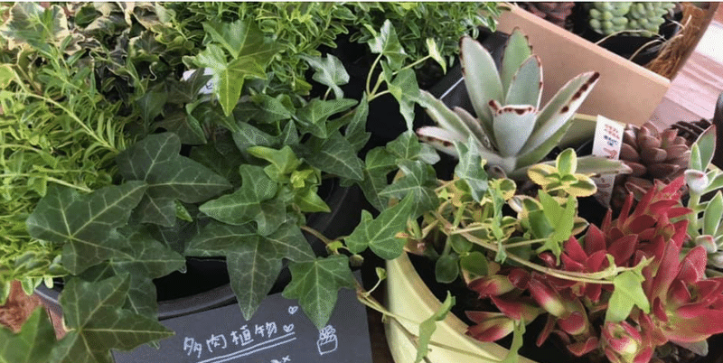 サステナブルな平家の建築が素敵な花屋さん Browns かぞで制作担当 Note サステナブルな平家の建築が素敵な花屋さん Browns かぞで制作担当 Note
