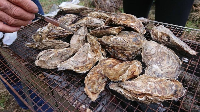 【写真5】焼きガキ