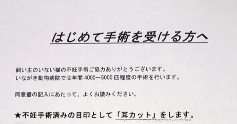 いながき動物病院 の新着タグ記事一覧 Note つくる つながる とどける いながき動物病院 の新着タグ記事一覧 Note つくる つながる とどける
