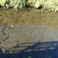 なりきりさんまい Feel Walk 俳キング みつかる わかる なりきりラジオ Note