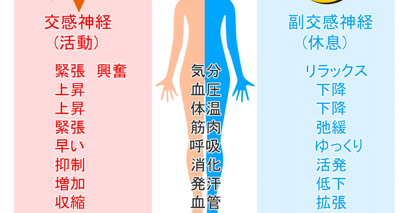 自律神経失調症治療 の新着タグ記事一覧 Note つくる つながる とどける 自律神経失調症治療 の新着タグ記事一覧 Note つくる つながる とどける