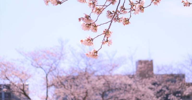 ＜2021年＞見頃＊滋賀県：○○○の桜