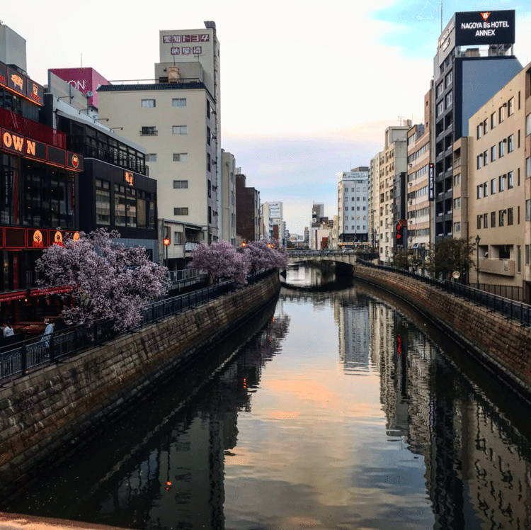 桜🌸　　いい感じ