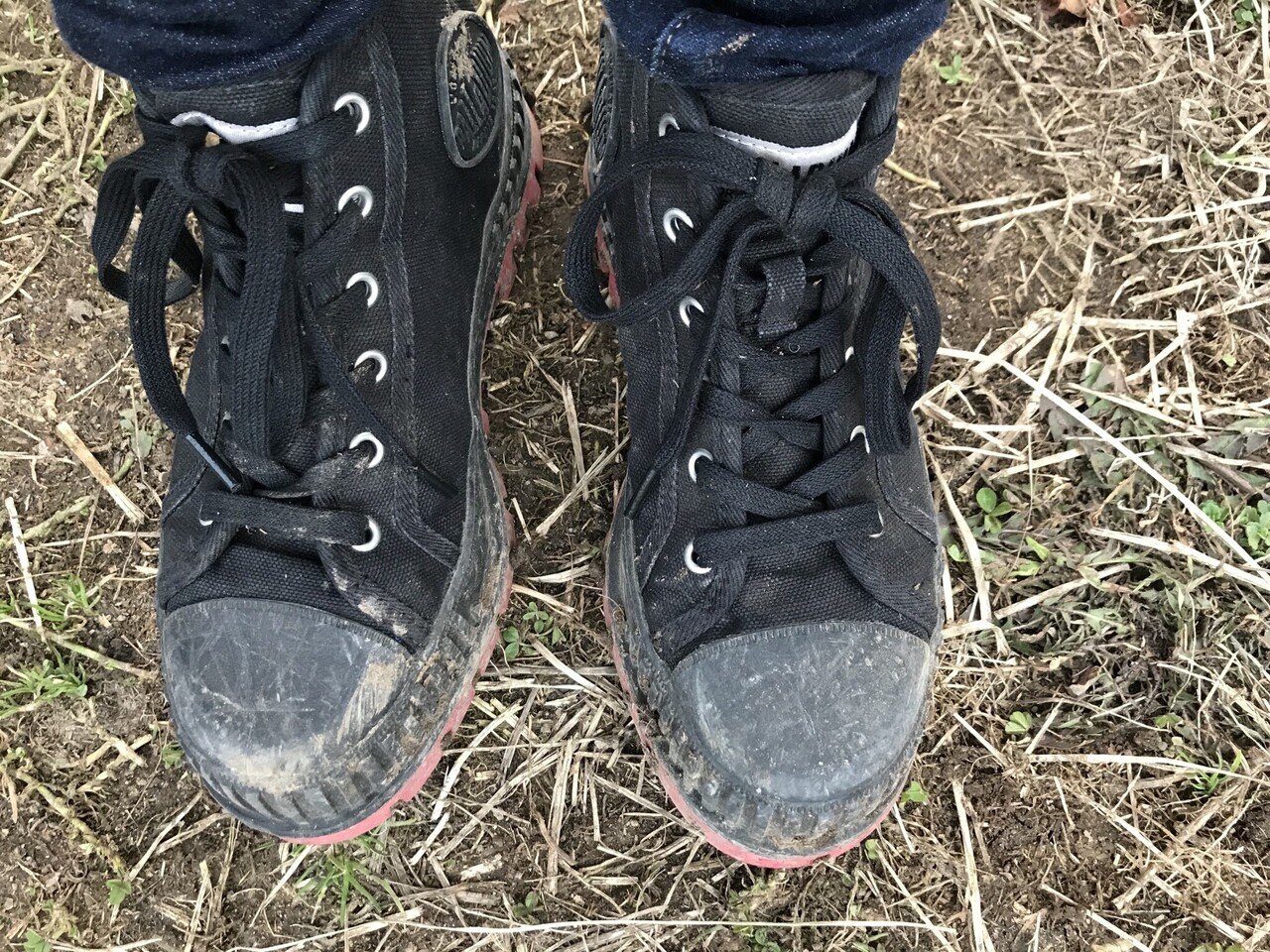 りんご畑用として購入した靴をおろしました Atsuko Nagai りんごをもっとたのしもう Note