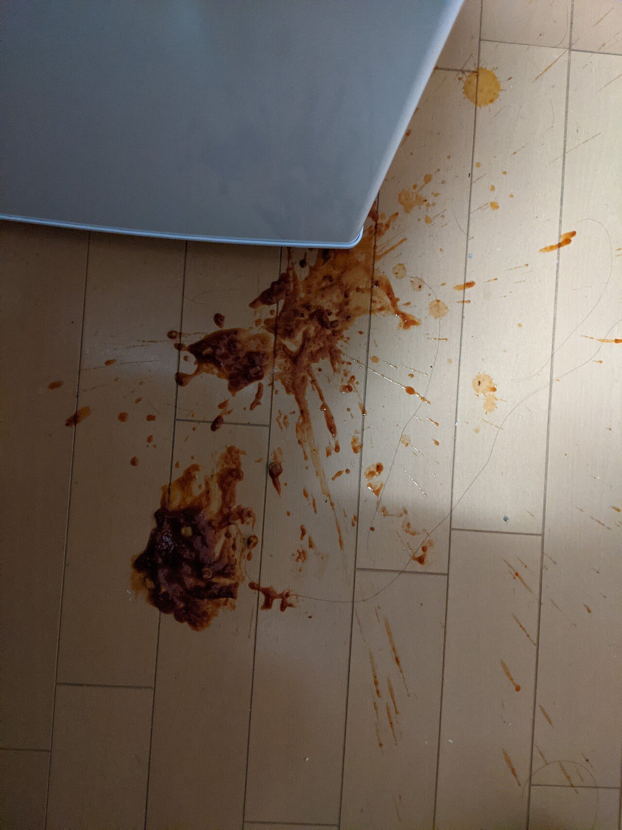 床にミートボールを落とした 拾って食べた 火曜サスペンス劇場の音楽が頭の中に流れた 伊藤 静代 いとう しずか Note