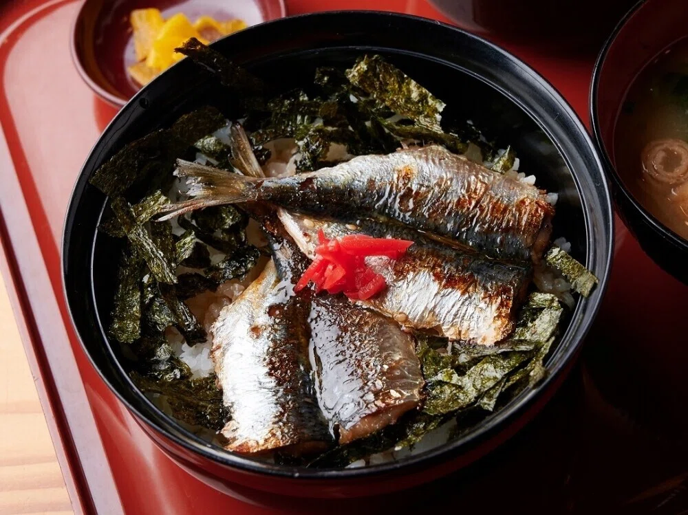 黄金に輝く幻の高級魚！金樽鰯を食べてみよう｜宮津市広報