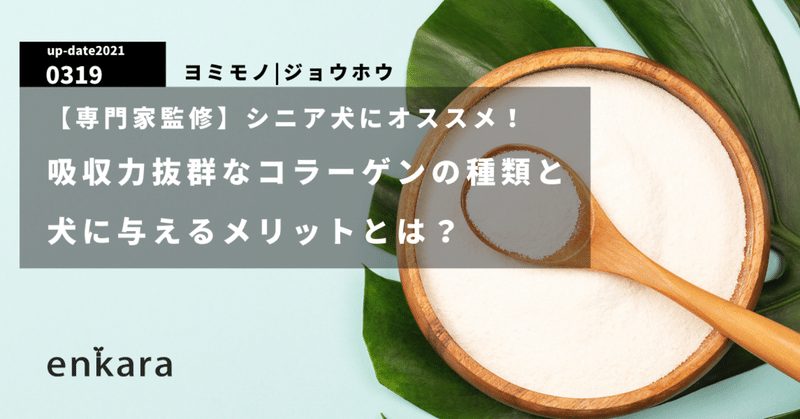 専門家監修 シニア犬にオススメ 吸収力抜群なコラーゲンの種類と犬に与えるメリットとは Enkara Note