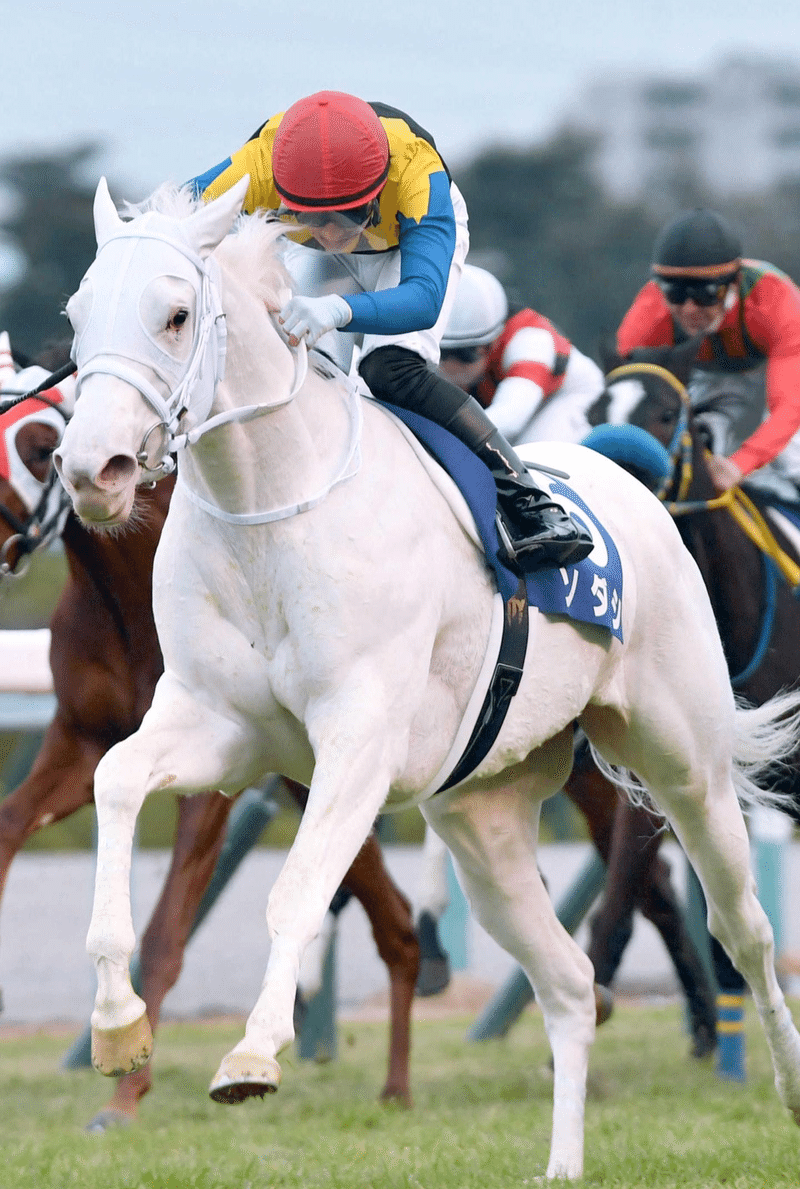 桜花賞 平波幸太郎 仮名 Note