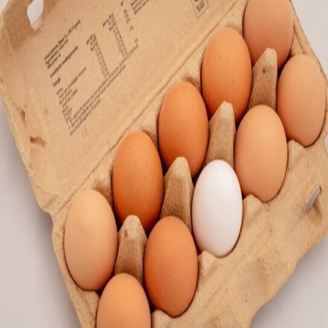 イタリア移民の中にはシチリア人が多かったんだが、シチリアの環境を差別的な 色彩のない言葉で表現するのは難しい。簡単に言えば「貧しい山と悪い水からは蛮人が出る」ということだ。そのため、当時のイタリア人がアメリカで従事していた職業や人々に与えた印象はあまり  ..., image size:1280x670