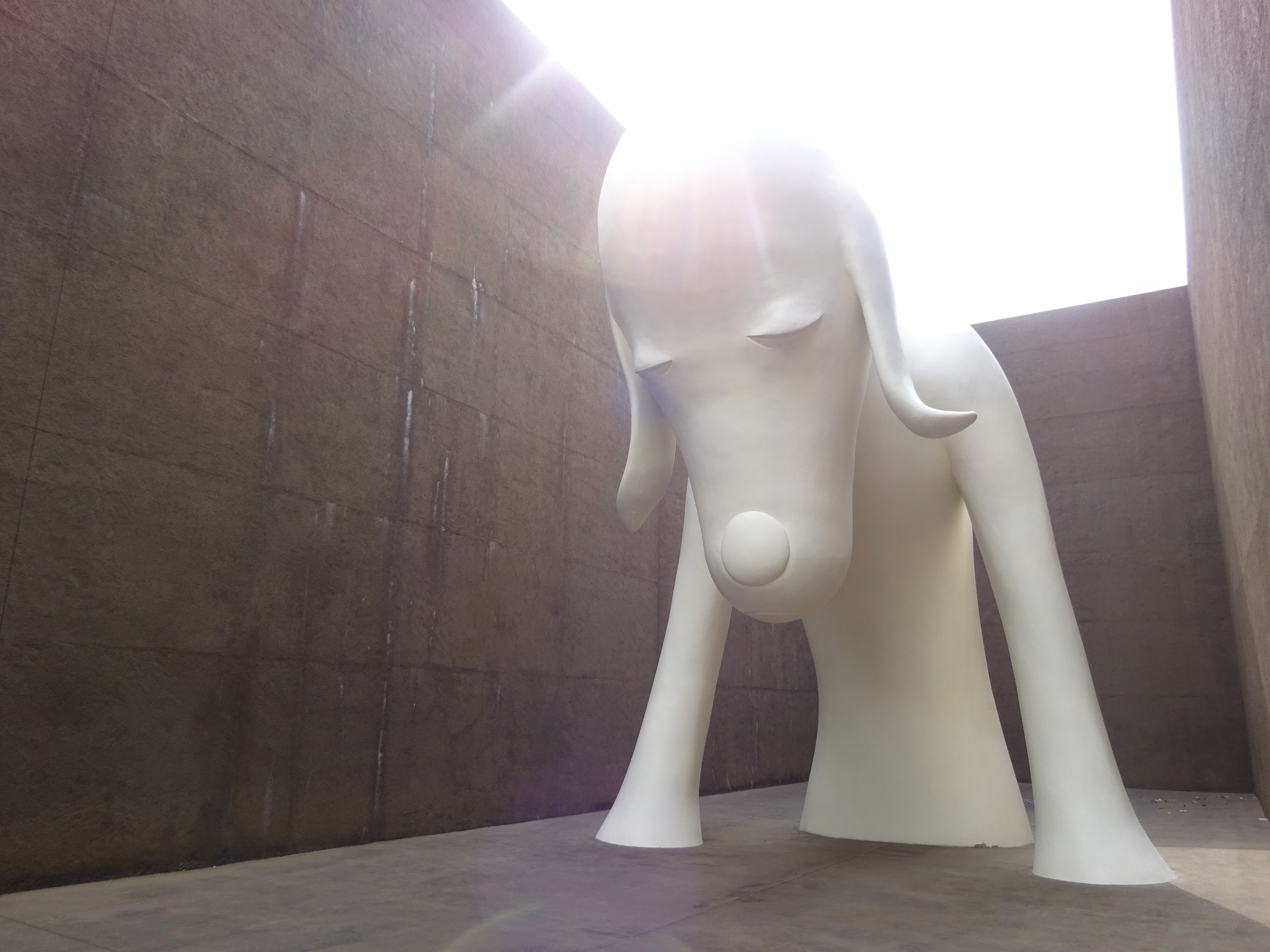 青森県立美術館にそびえ立つ、奈良美智さんの「あおもり犬」だよ。上