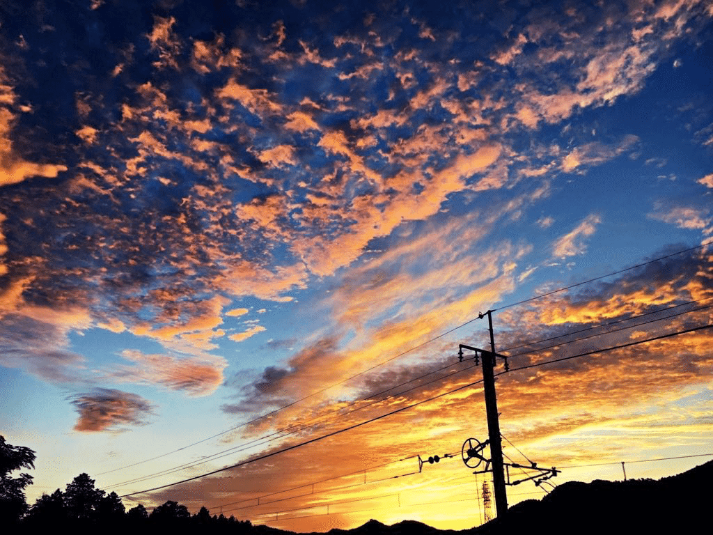 Twitterで見る4分割写真をツイートする方法｜Shota