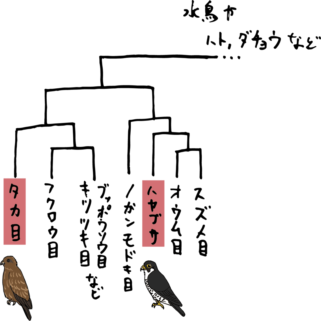 他人の空似 ハヤブサとトビの話 浜松科学館 みらいーら