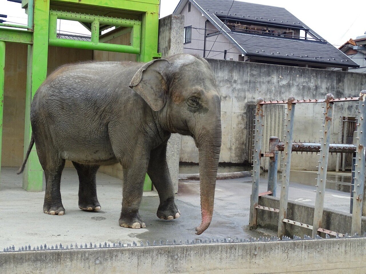 ZASO:047】山梨県 #遊亀公園付属動物園｜ZASOちゃんねる