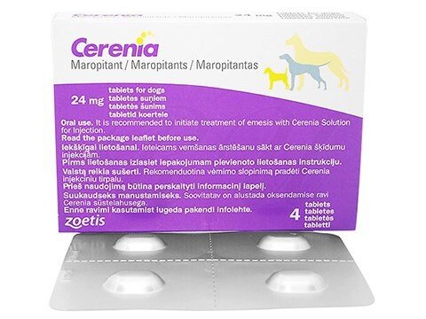 犬の酔い止め薬 セレニア錠が通販で半額に トイプードルのジョイくん Note