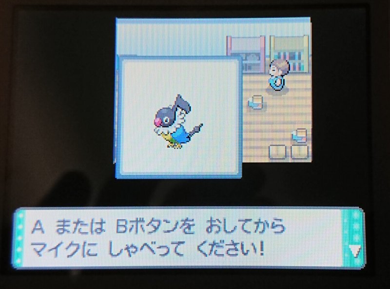 ポケモンdp 配達員乱数 めざ氷 V 2 V V V V Nero R Note