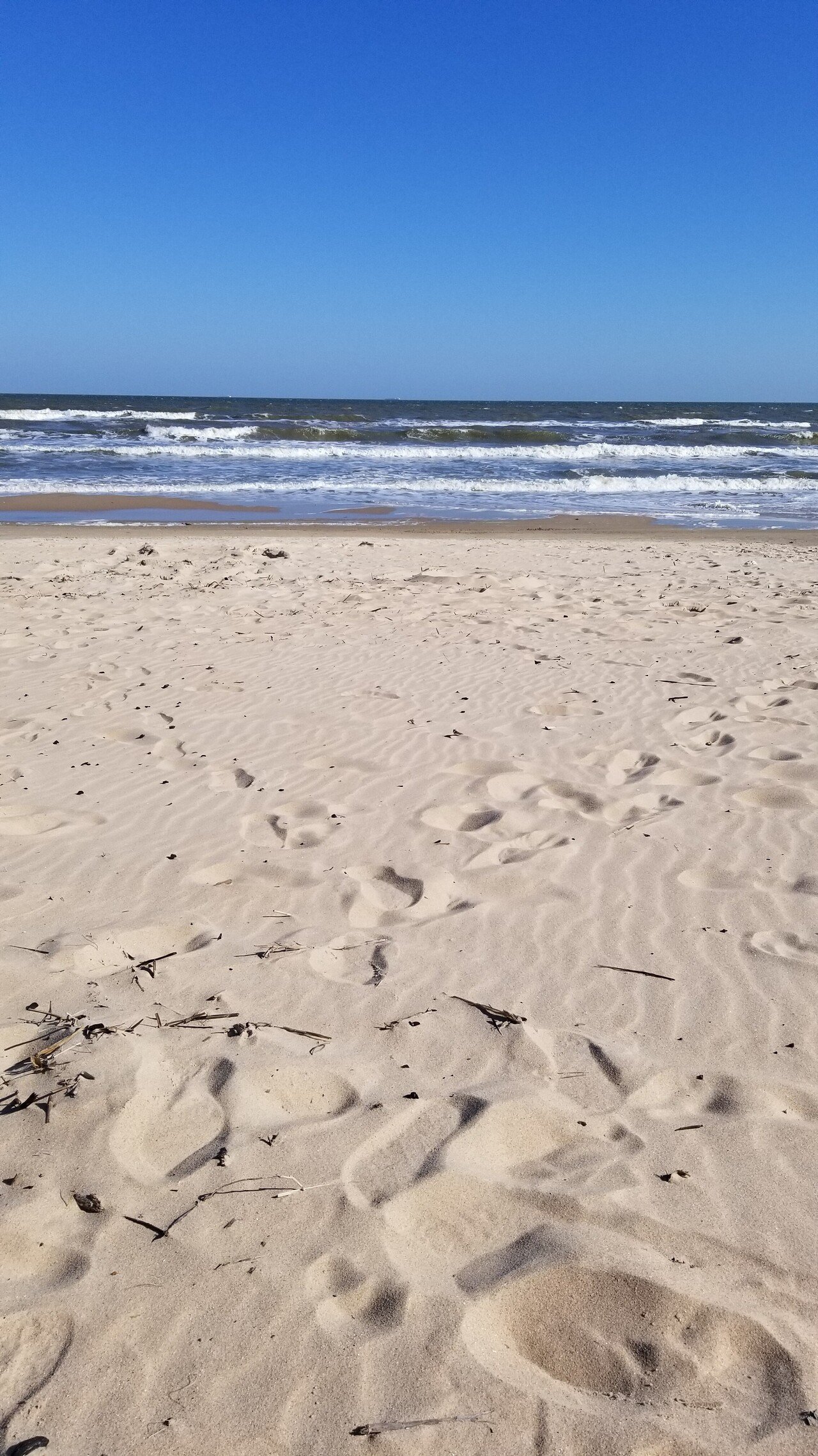 海に来た しばらく海のないところに住んでいたので 久し振りに海で潮の満ち引きを見るのが嬉しかった そこって何かあるの と友達 に聞かれた 特には何も 湖にも池にもない波が海にあるのがただ嬉しくて Hannah Note 海に来た しばらく海のないところに住んでいたので 久し振りに海で潮の満ち引きを見るのが嬉しかった そこって何かあるの と友達 に聞かれた 特には何も 湖にも池にもない波が海にあるのがただ嬉しくて Hannah Note