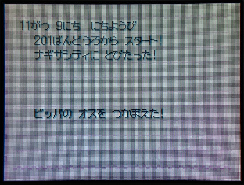 ポケモンdp 配達員乱数 めざ氷 V 2 V V V V Nero R Note