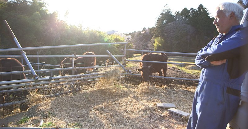 福島の町に動物たちと残り続けた男の物語 ドキュメンタリー映画 ナオト いまもひとりっきり バリアフリー版をめぐるシンポジウム Theatre For All Labマガジン Note