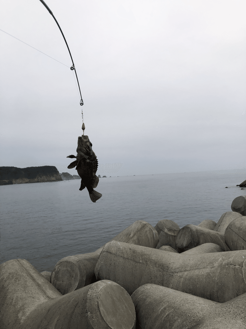 先生 釣りがしたいです Hot Coffee S Note