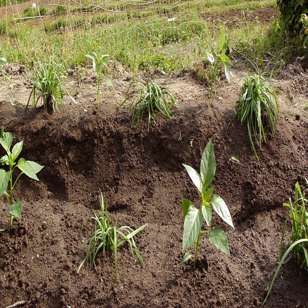 おっす、そこの養分共”狩る側”へ来ないか？｜せん。