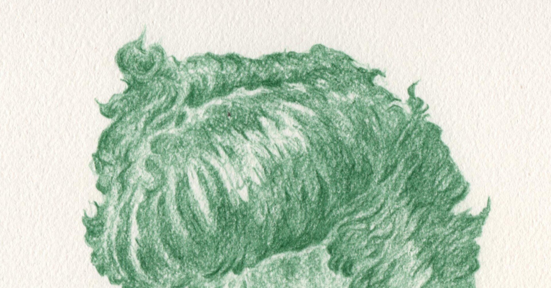 リーゼントと50年代アメリカ ドローイング 1 2 3 Sal Note