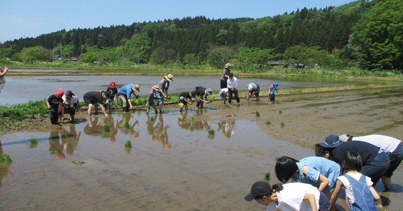 【満席】5/22（土）田植え体験