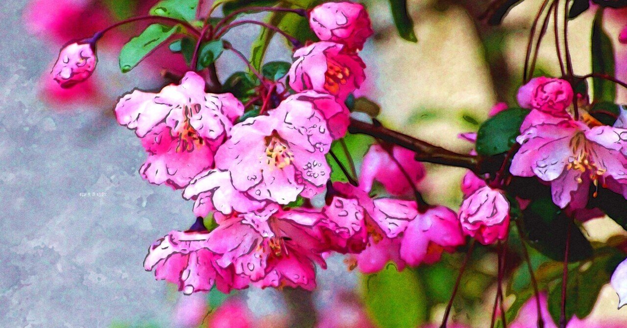 3月25日 誕生花は花海棠 誕生花短歌 御子柴 流歌 Note 3月25日 誕生花は花海棠 誕生花短歌 御子柴 流歌 Note