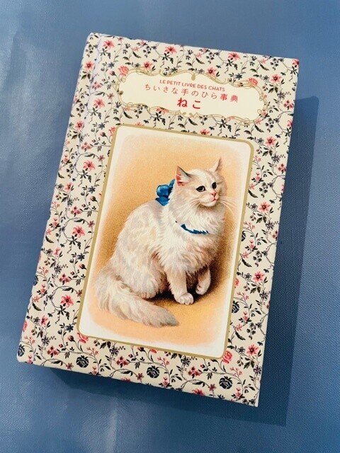 猫という しなやかな生き物 Luna N Note 猫という しなやかな生き物 Luna N Note