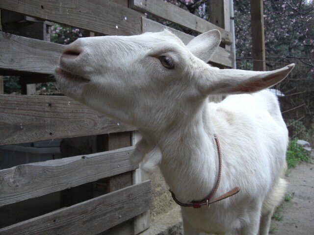 絵に描いたような幸せ かな Note