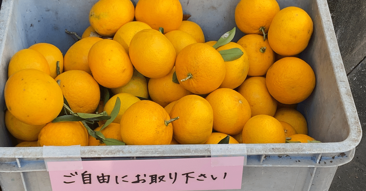 グラスパズル　「重ねてみかん」 61aVn+RAuZL._UF350,350_QL80_.jpg