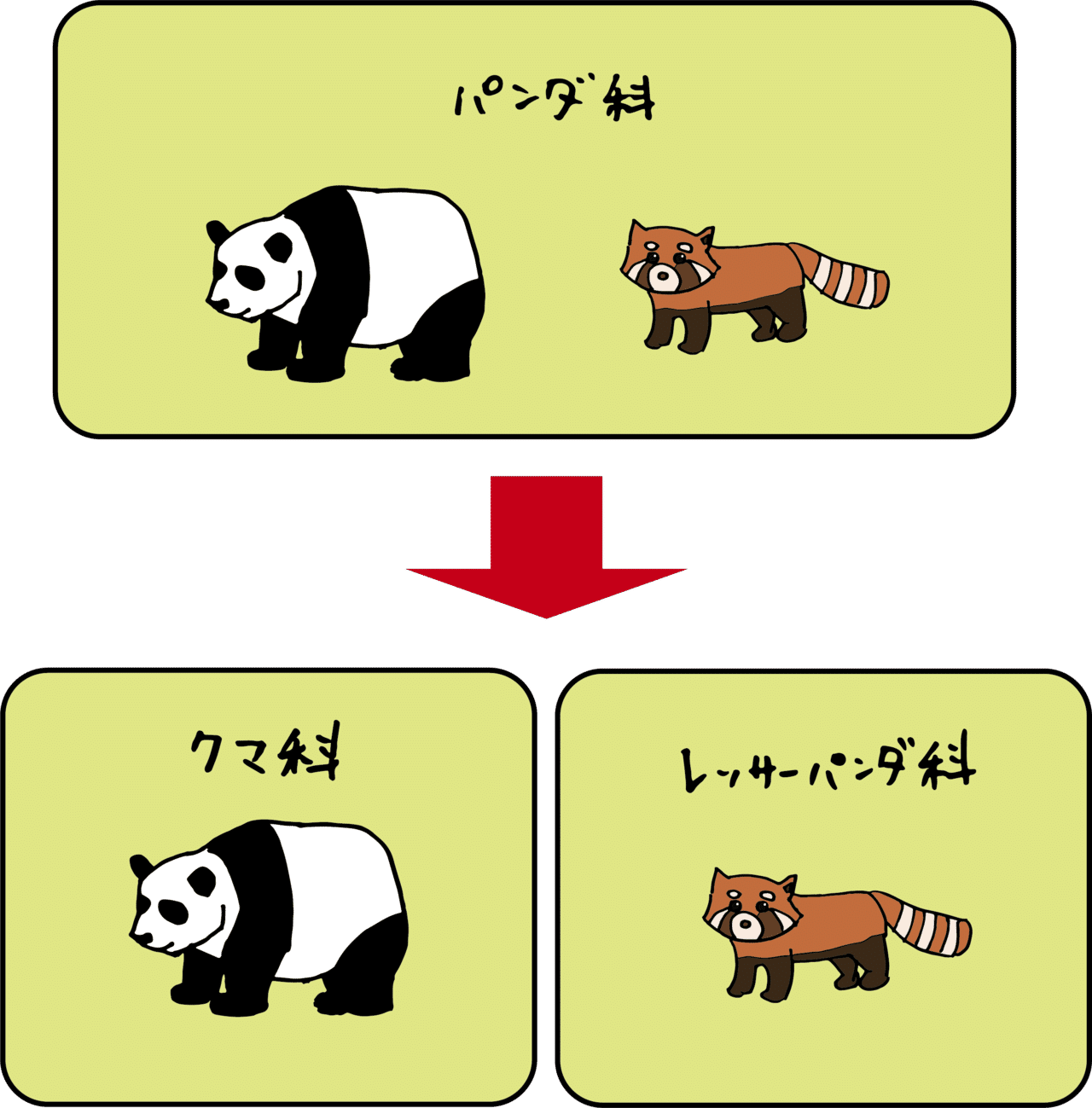 他人の空似 ハヤブサとトビの話 浜松科学館 みらいーら 他人の空似 ハヤブサとトビの話 浜松科学館 みらいーら