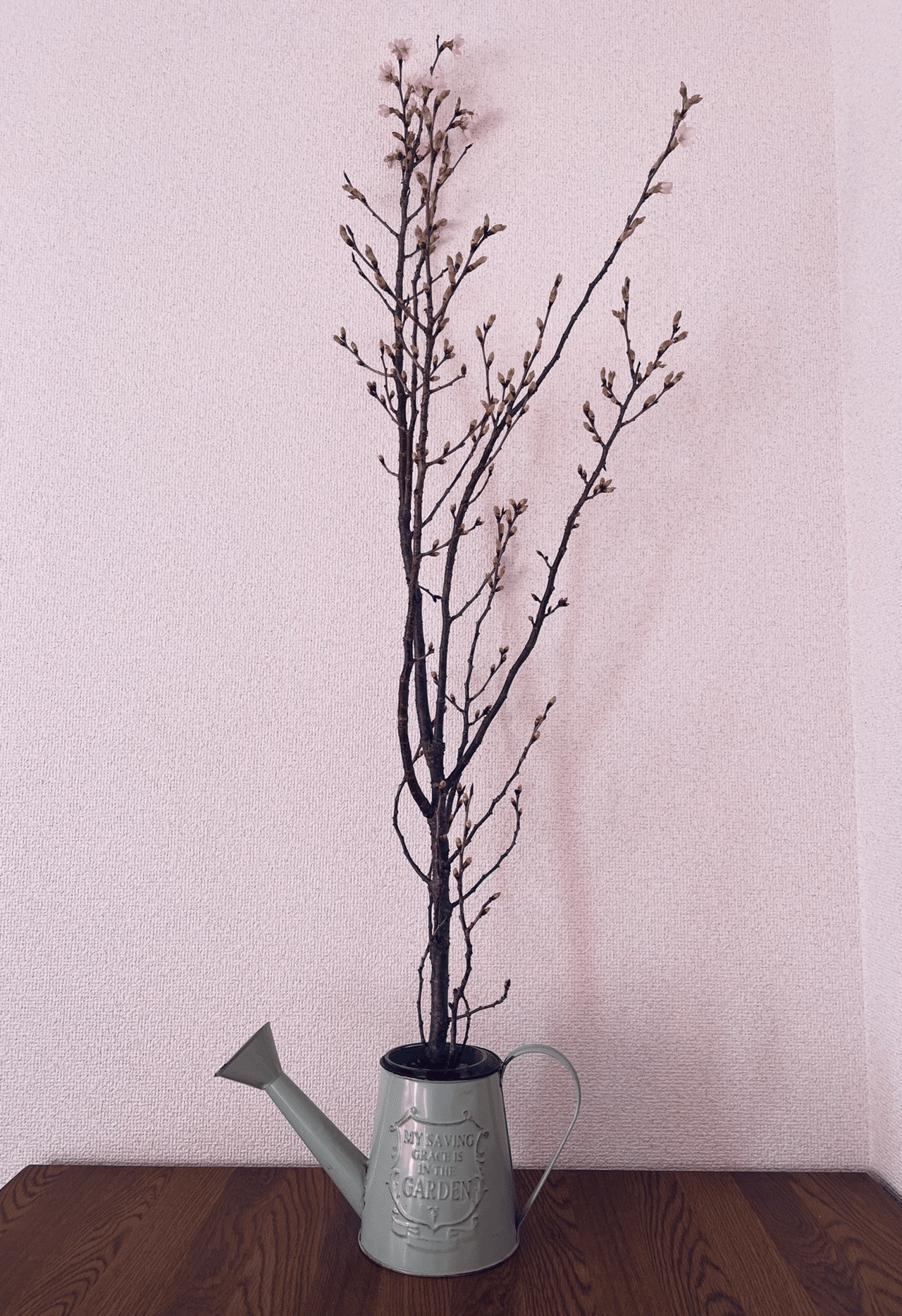 はじめて買った桜の枝が おうち花見の楽しさを教えてくれた あつこ Note