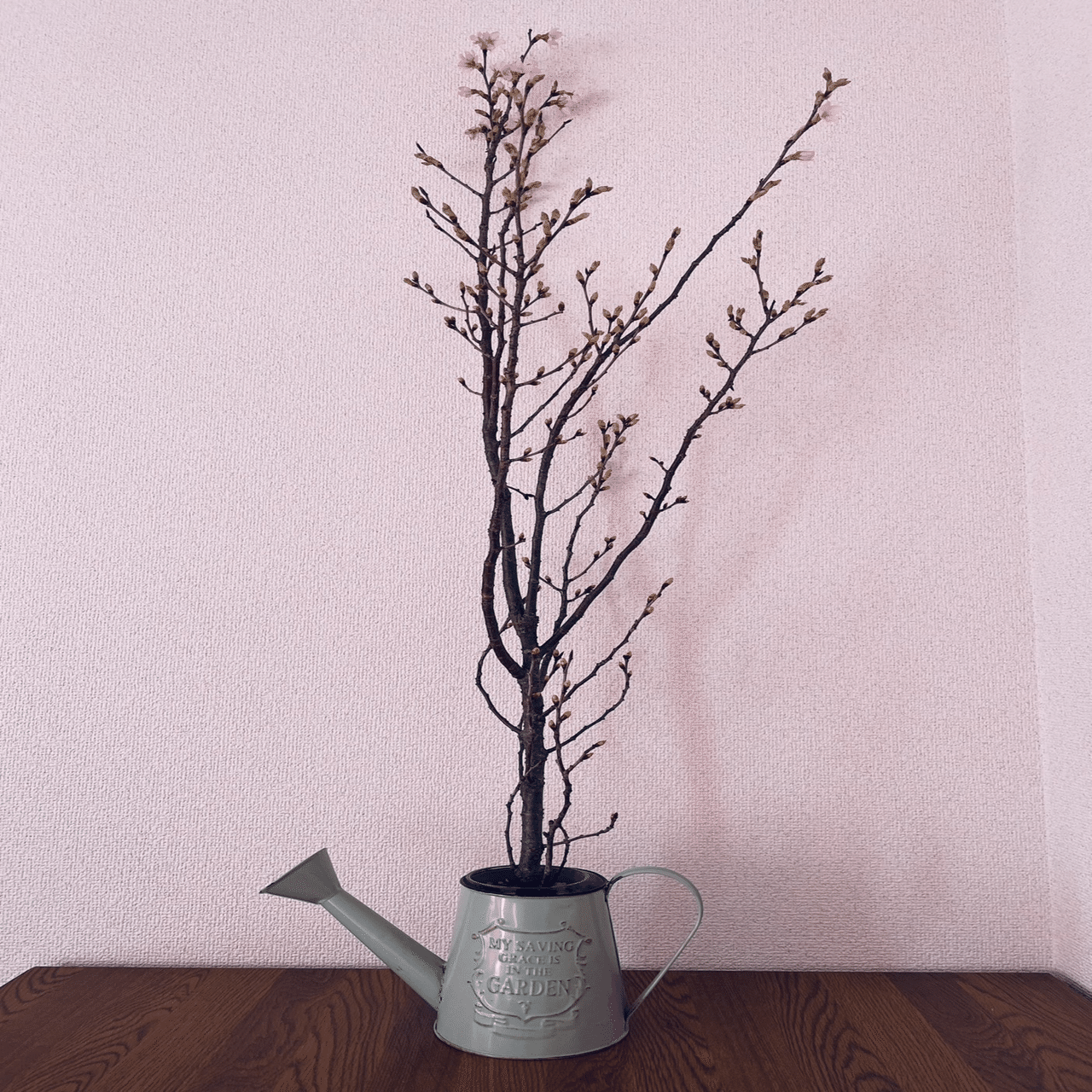 はじめて買った桜の枝が おうち花見の楽しさを教えてくれた あつこ Note