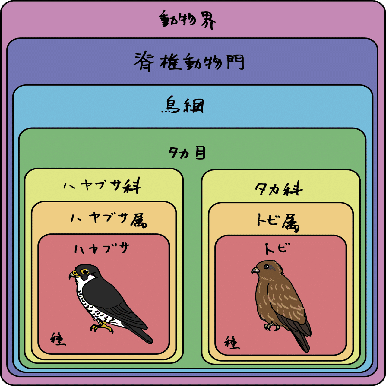他人の空似 ハヤブサとトビの話 浜松科学館 みらいーら