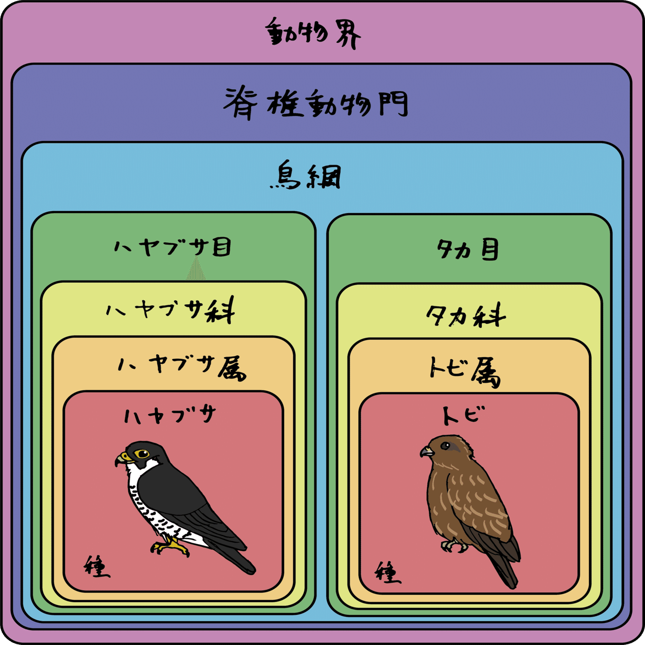 他人の空似 ハヤブサとトビの話 浜松科学館 みらいーら