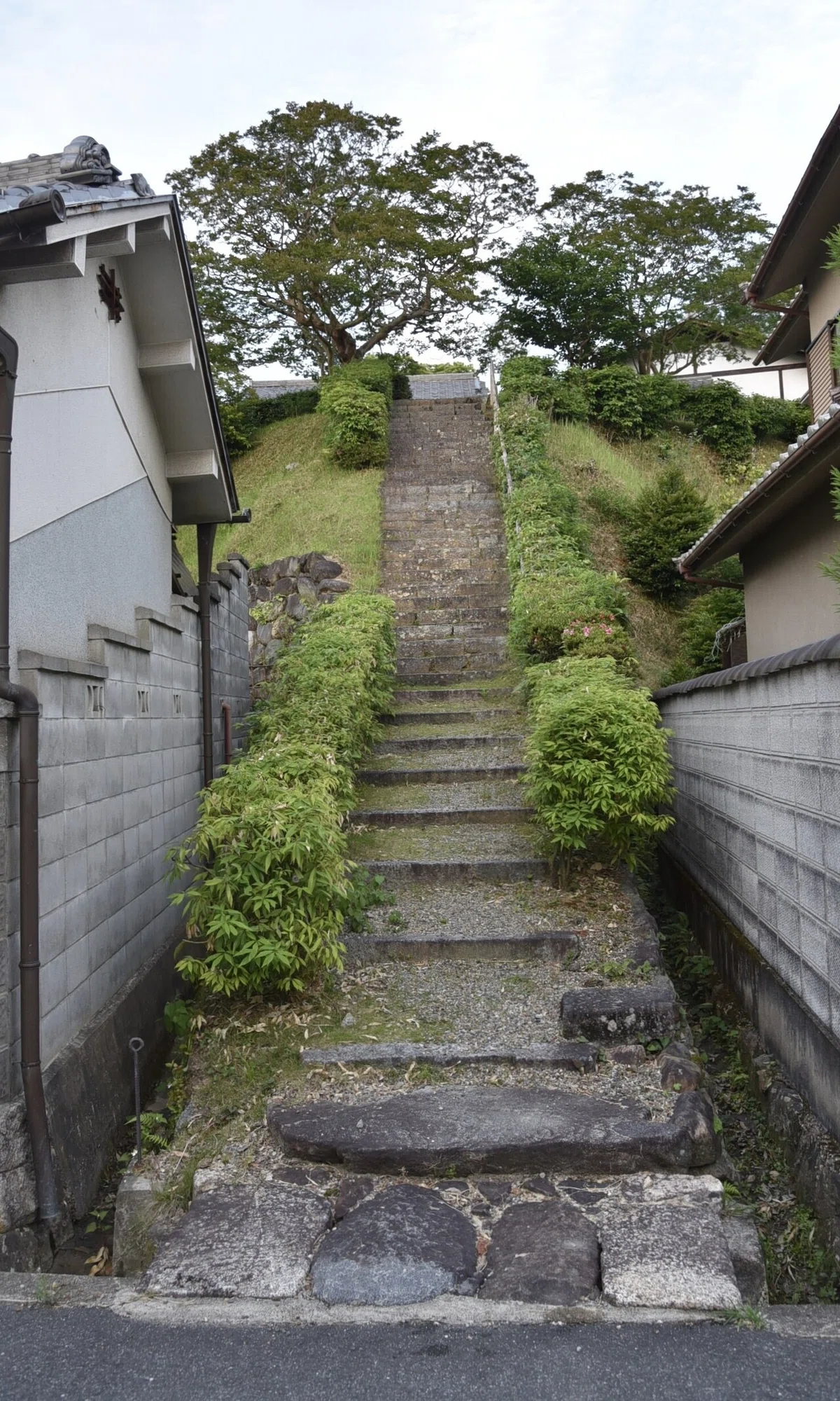 画像16