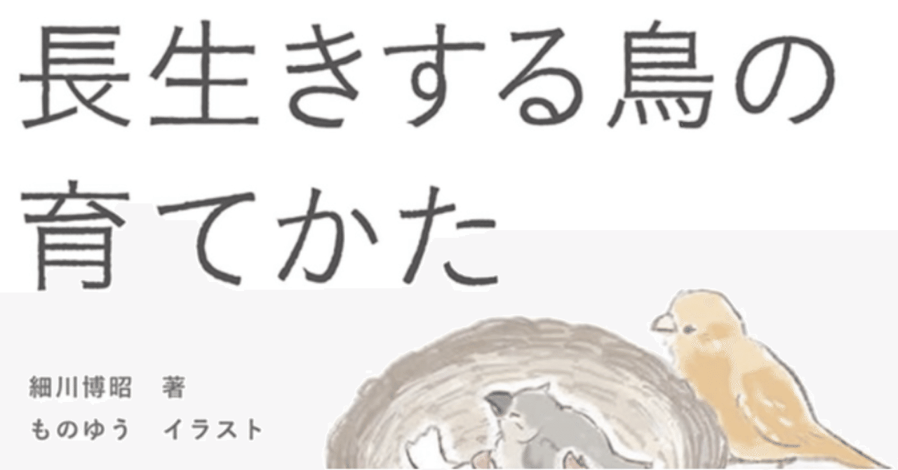 爆買い！ 幼鳥、病鳥、老鳥 割っ 3（スリー）セット♪ おもちゃ