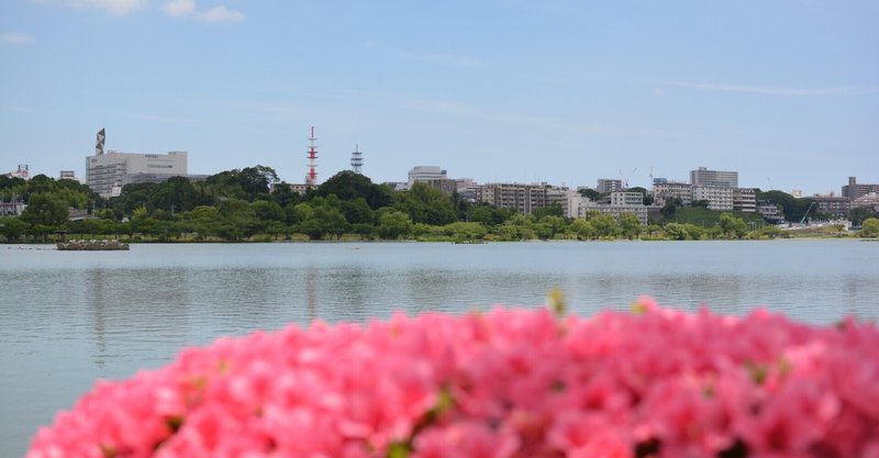 【Uターンしてからもっと好きになった】おすすめいばらき観光スポット