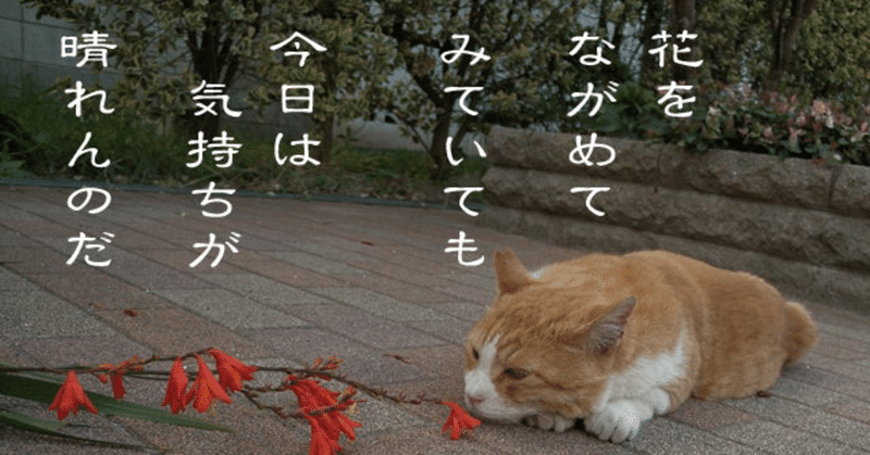 芦萌ありさ Note 芦萌ありさ Note