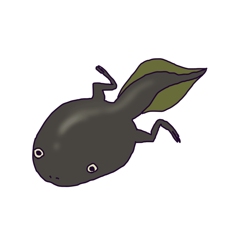 ことばずかんnt なまえのことば いきもの みずのなかのいきもの イノベイト エデュケイト Innovate Educate Note