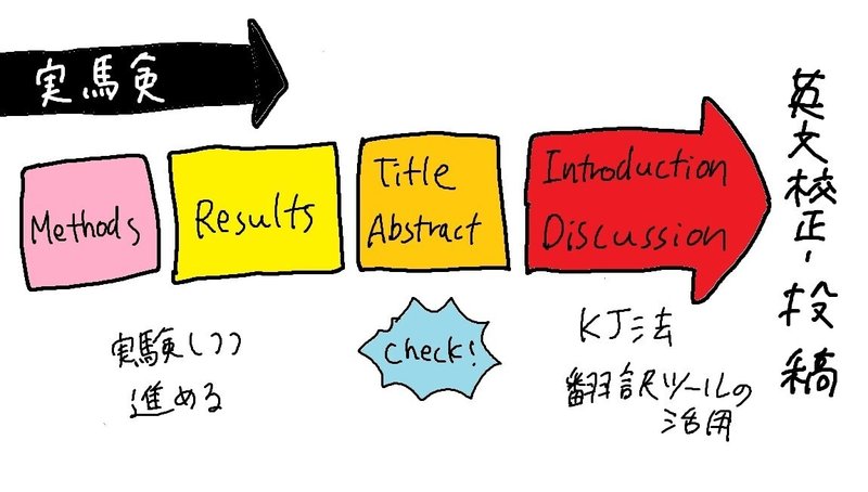 科学論文 Discussion 書き方