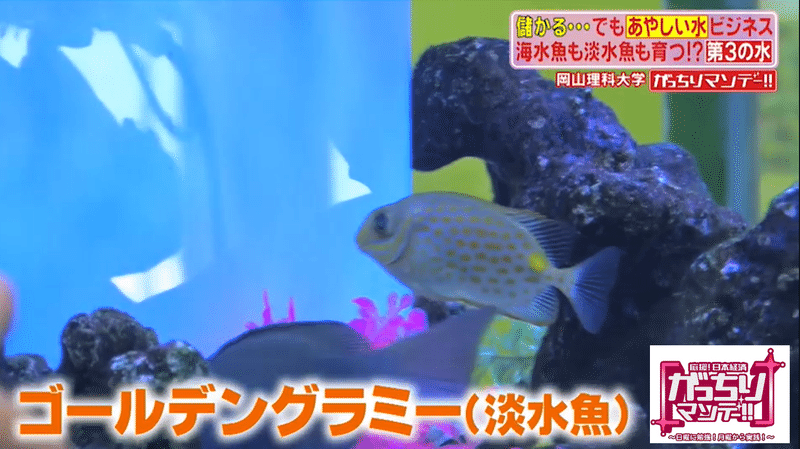 あやしい 水 ビジネスの現場に潜入 岡山の山奥で発見 海の魚も川の魚も育つ 第３の水 空気から飲み水を作る謎のマシン登場 そのカラクリとは がっちりマンデー Note編 がっちりスクール Note