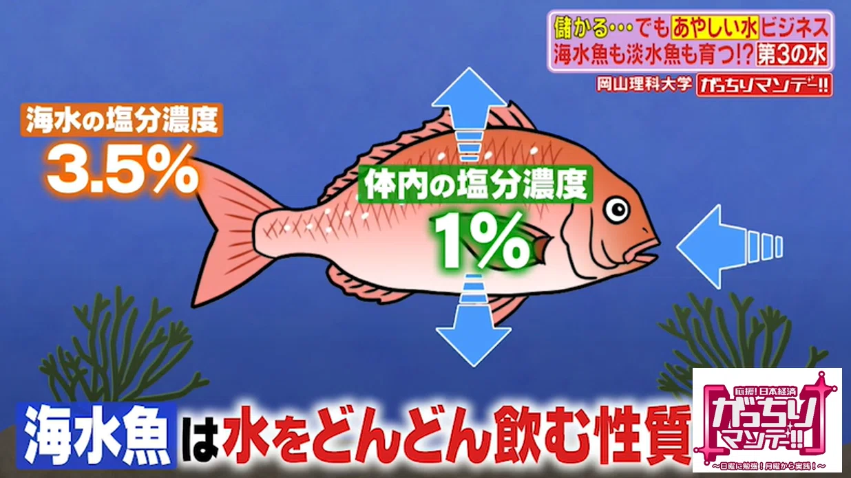 あやしい 水 ビジネスの現場に潜入 岡山の山奥で発見 海の魚も川の魚も育つ 第３の水 空気から飲み水を作る謎のマシン登場 そのカラクリとは がっちりマンデー Note編 がっちりスクール Note