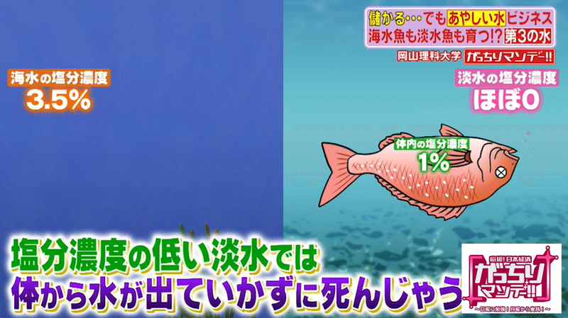 あやしい 水 ビジネスの現場に潜入 岡山の山奥で発見 海の魚も川の魚も育つ 第３の水 空気から飲み水を作る謎のマシン登場 そのカラクリとは がっちりマンデー Note編 がっちりスクール Note